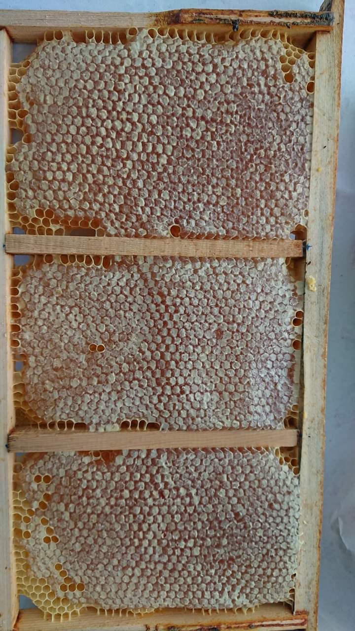 Tunceli Bokur Bal 05396006942