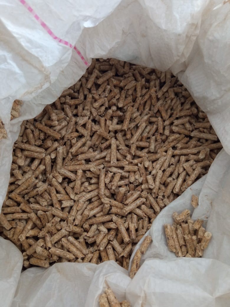 Kayseri Kocasinan Furkan Pelet 05323317188