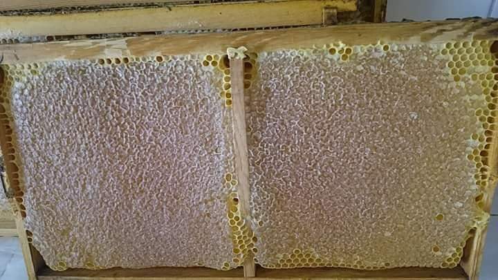Tunceli Bokur Bal 05396006942