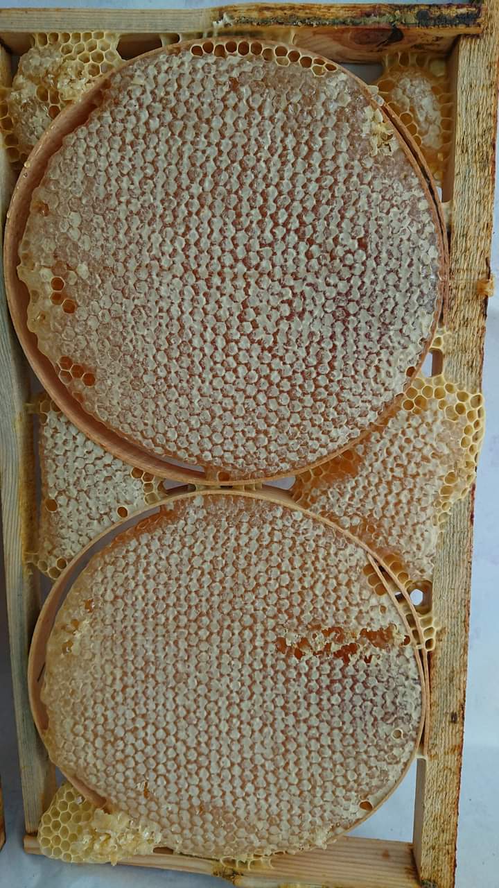 Tunceli Bokur Bal 05396006942