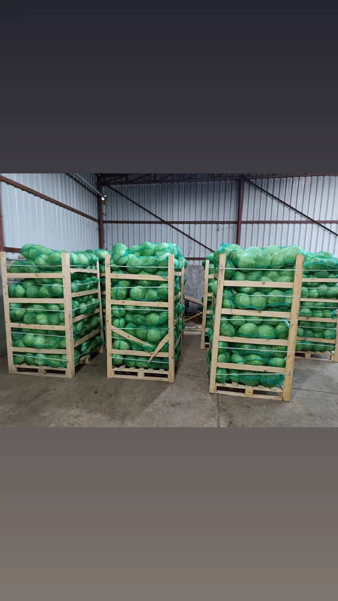 Bafra Paletçilik 05539039616