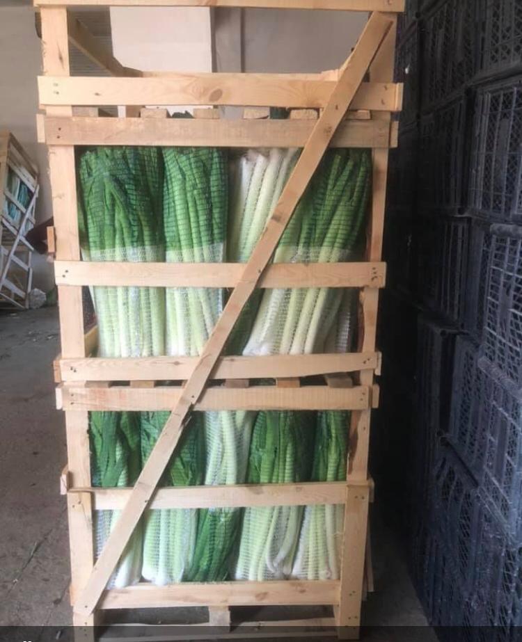 Bafra Paletçilik 05539039616