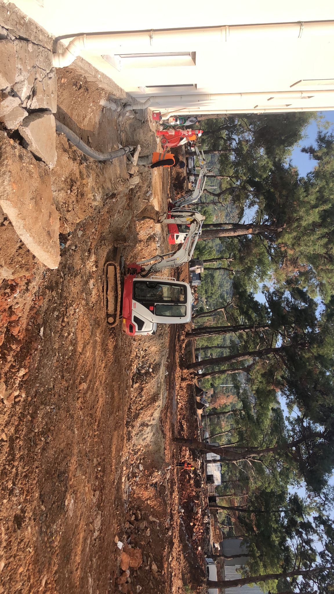Muğla Bodrum Milas Fidan Hafriyat Kiralık İş Makinaları