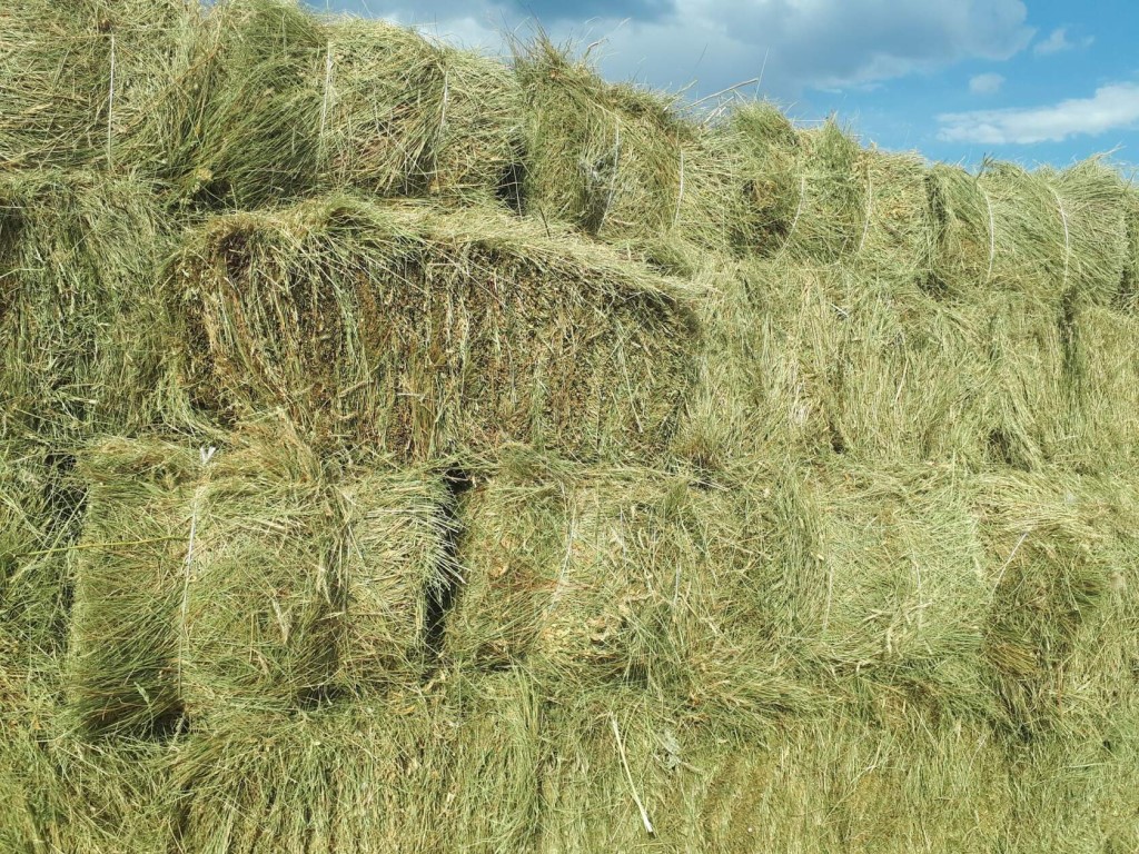 Aksaray Buga Yonca Tarım ve Hayvancılık
